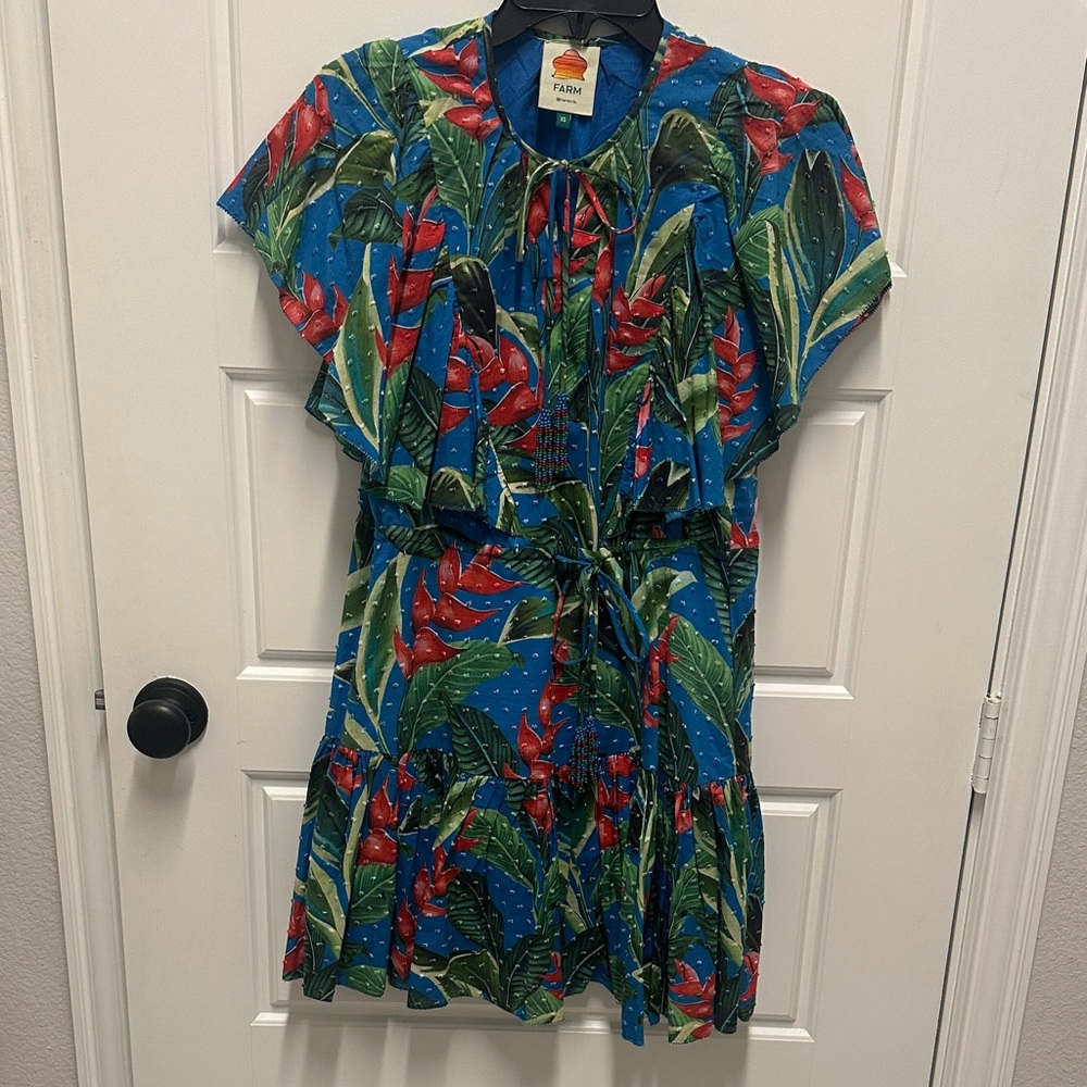 FARM Rio Blue Tropical Mini Dress with Red Floral Accents